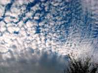 ��������� ������ � ����� ����������