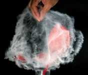 ������ ���������� ���������