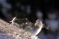 �������� ����� ����� ���������