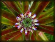 ������� ����� � ����� ����������