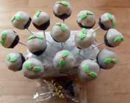 ����� ��������� garmin �������