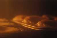 ��� �������� ����� ���������