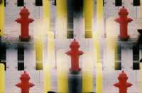 ������� ������� ����� ���������