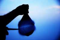 ������� �� ������� ����� ���������