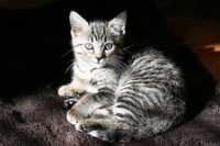 ����� ��������� ������ ������