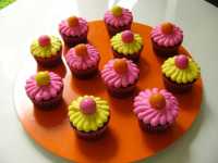 ��� ����� ��������� ��������