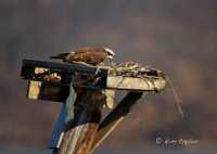 ���������� ������ � ����� ����������