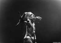 ���� ���� ���������