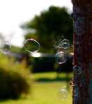 �������� ���� ����� ���������