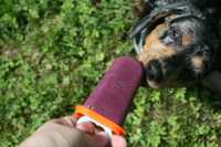 ������������� ������ ������� ����� ���������