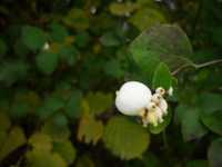 �� ������ ������ ���������